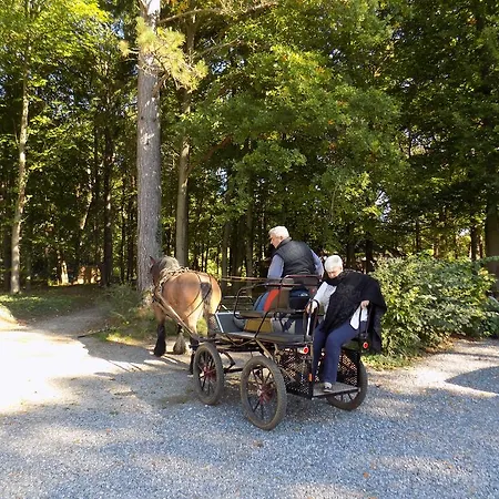 Les Buissonnets De Longchamps Rochefort